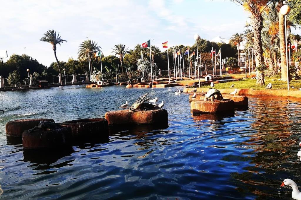 Apartament Adventure Harbour Torrevieja Zewnętrze zdjęcie