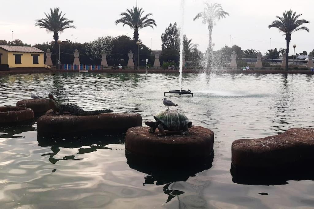 Apartament Adventure Harbour Torrevieja Zewnętrze zdjęcie